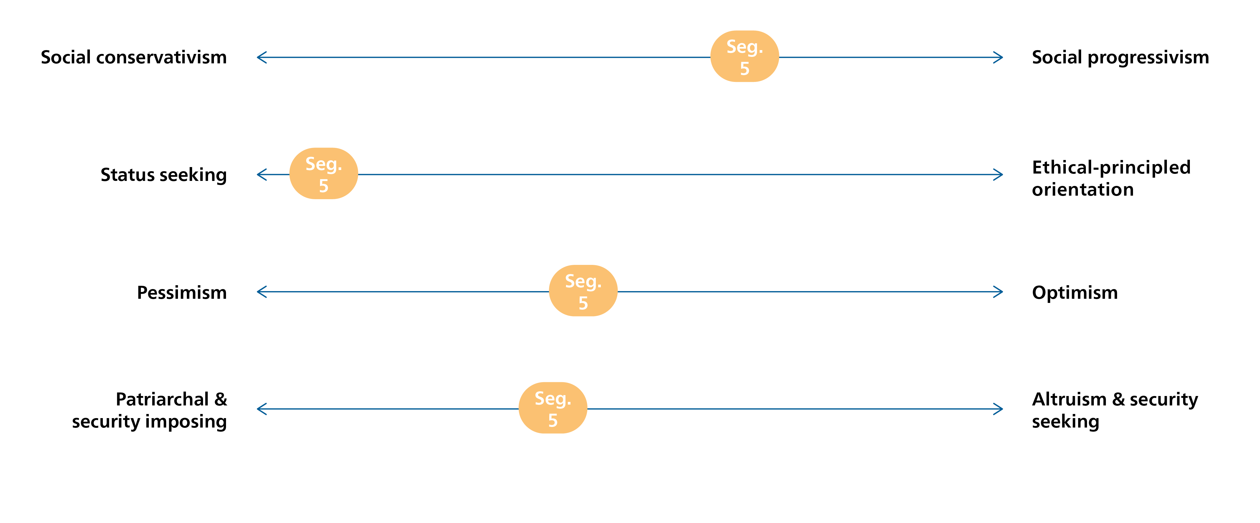 Dimension position for segment five: complex and curious conservatives