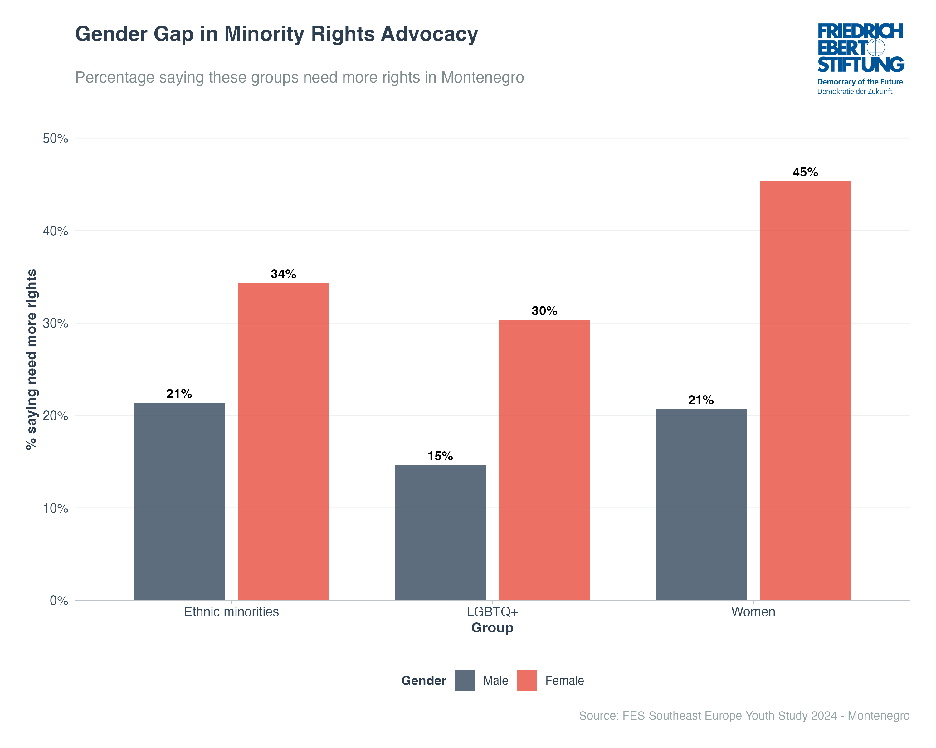 Gender Gap in Minority Rights Advocacy