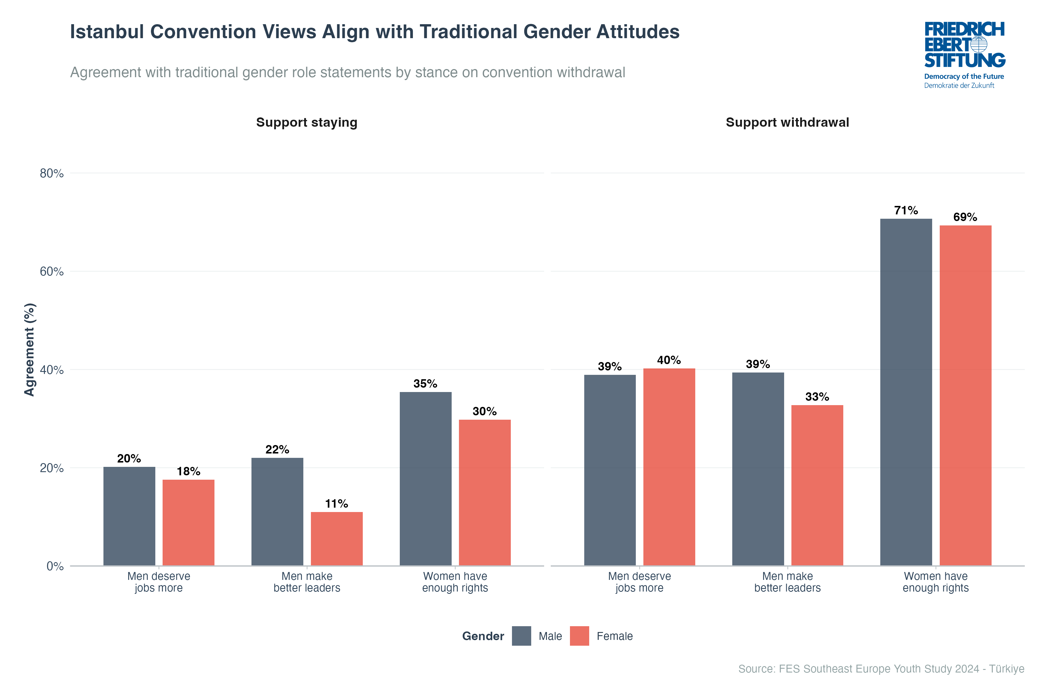 Istanbul Convention Views Align with Traditional Gender Attitudes